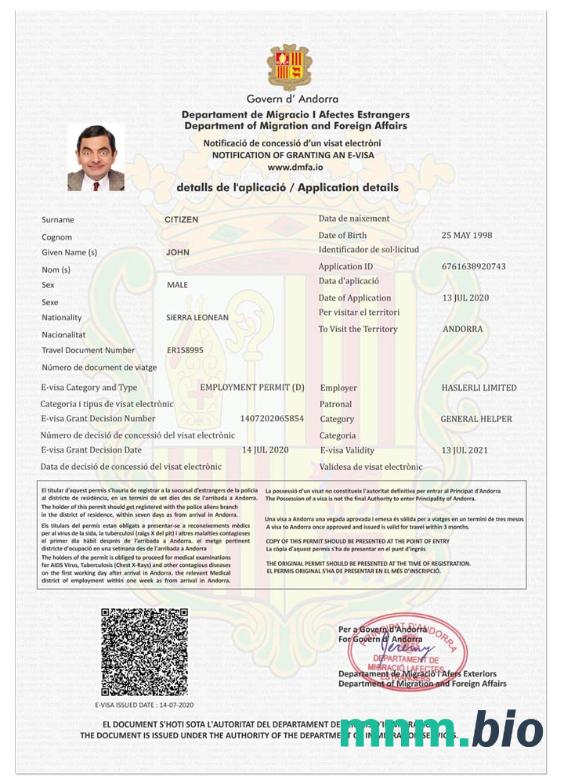 E-visa do Andory w pełni edytowalna PSD